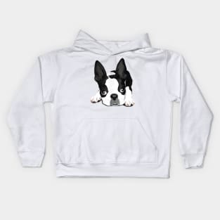 Boston Terrier Puppy Dog Kids Hoodie